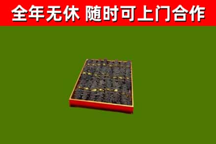 太仆寺回收海参